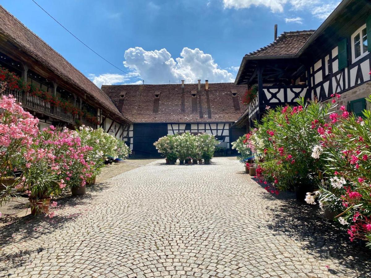 Chambres D'Hotes De Charme A La Ferme Freysz Quatzenheim Εξωτερικό φωτογραφία