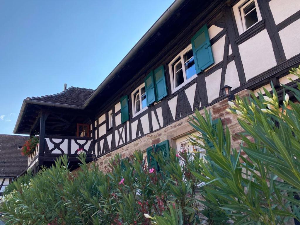 Chambres D'Hotes De Charme A La Ferme Freysz Quatzenheim Εξωτερικό φωτογραφία