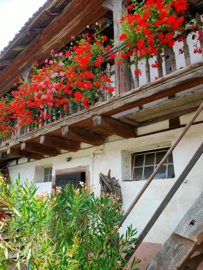 Chambres D'Hotes De Charme A La Ferme Freysz Quatzenheim Εξωτερικό φωτογραφία